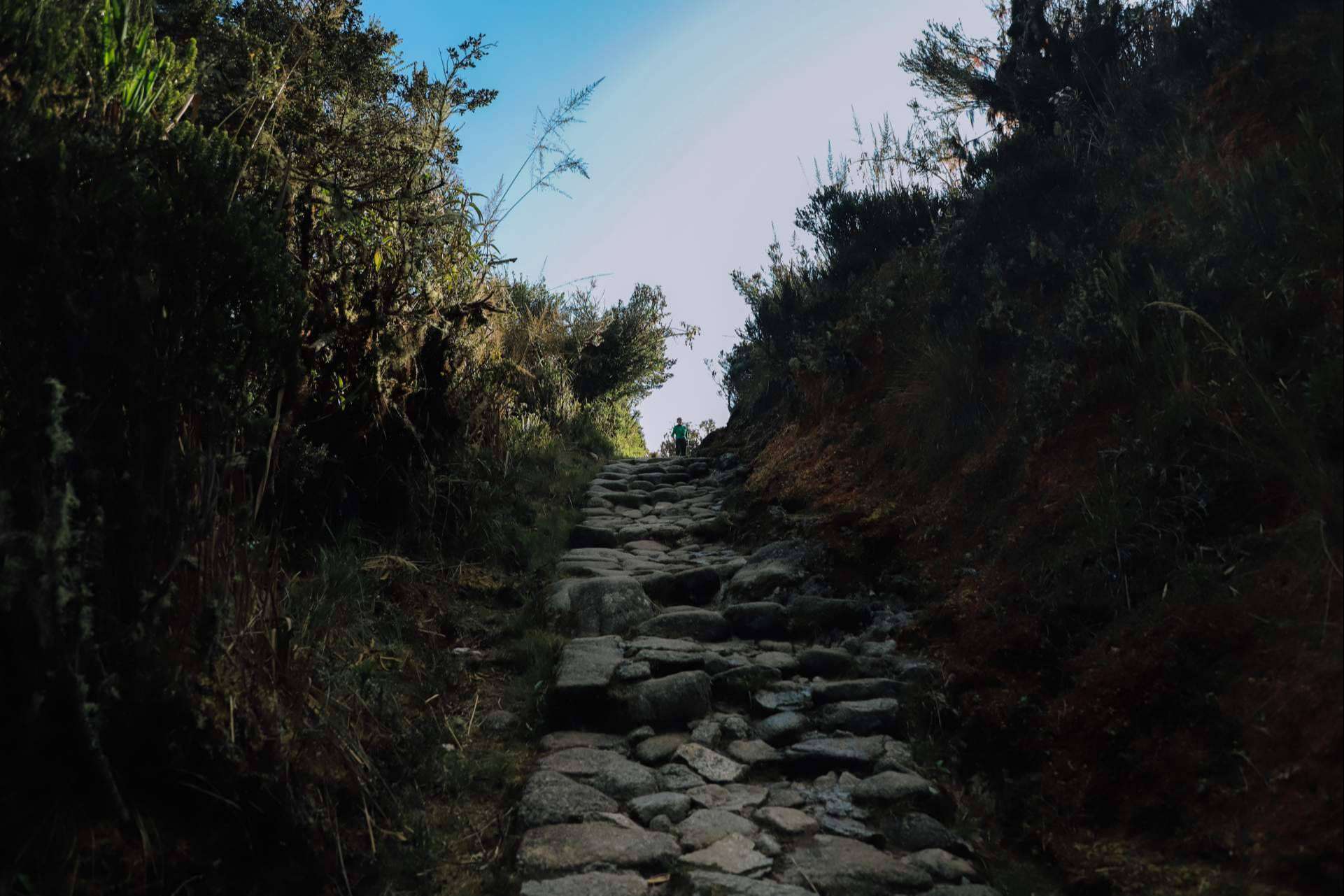 Luxury Hiking Adventure; The Inca Trail Like Never Before