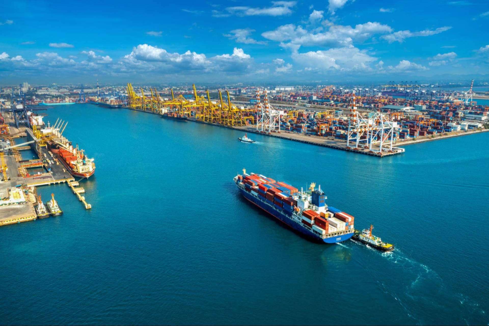 Texas International Freight; Delivering excellence in global logistics