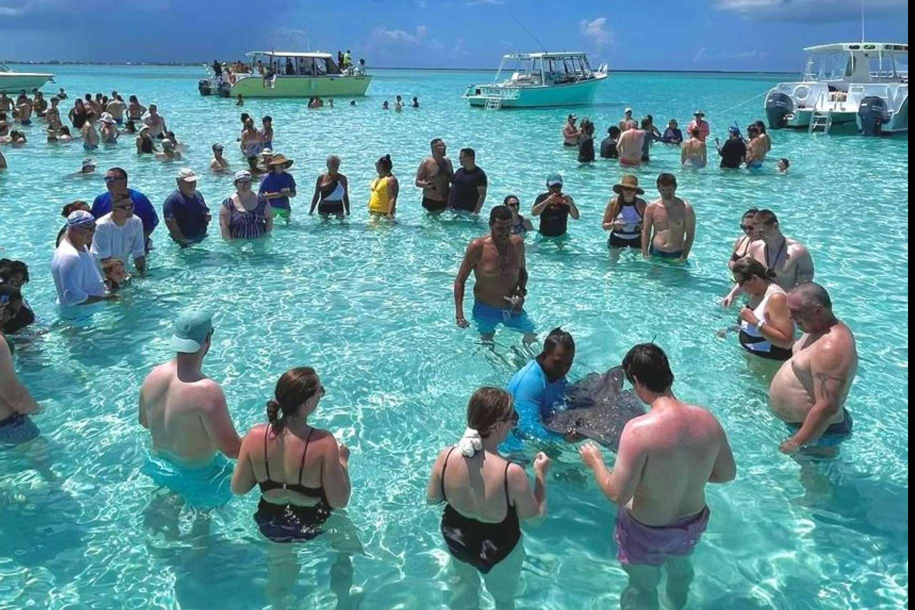 Cayman Ocean Adventures drives family tourism with its Stingray City tour